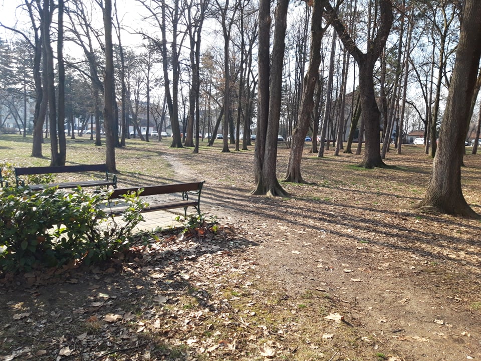 park 6.jpg